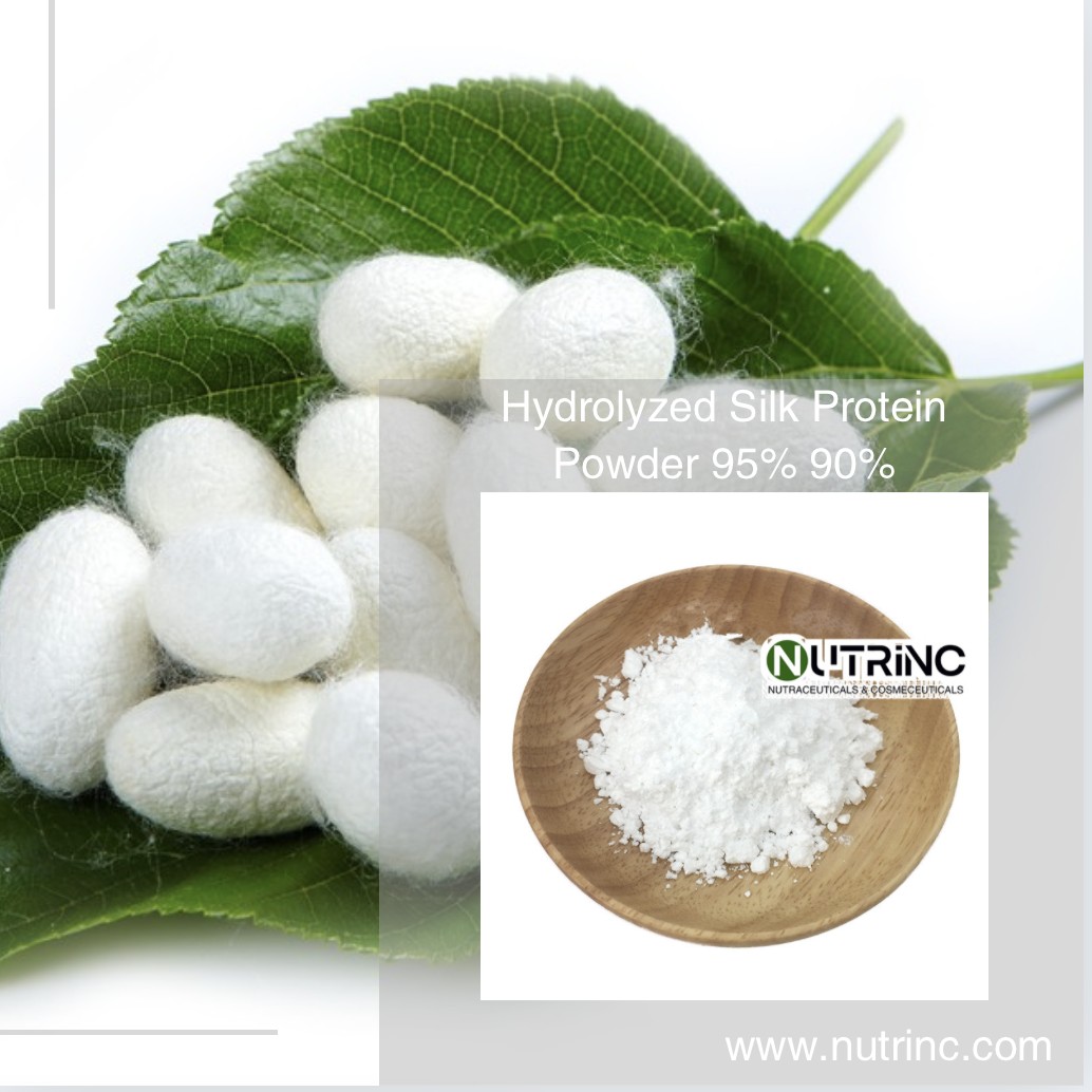 Hydrolyzed Silk Protein Powder 95% 90%