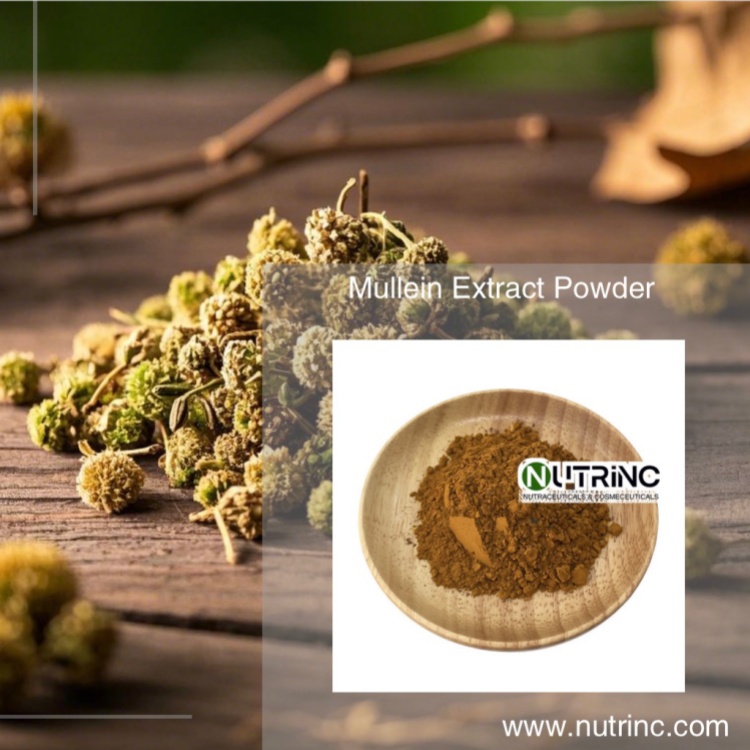 Mullein Extract Powder