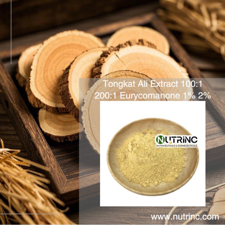 Tongkat Ali Extract 100:1 200:1 Eurycomanone 1% 2%