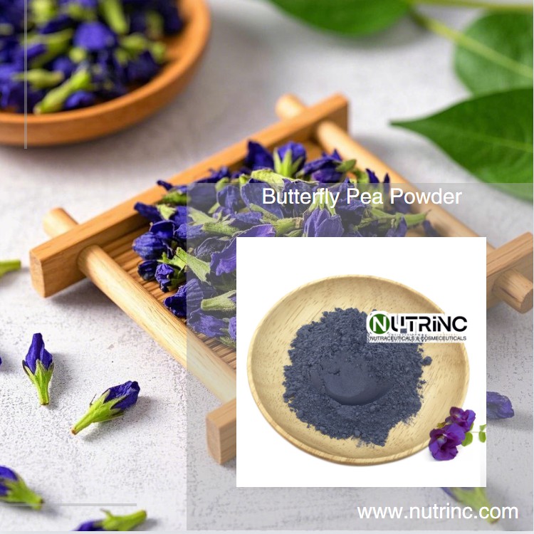 Butterfly Pea Powder 200 Mesh