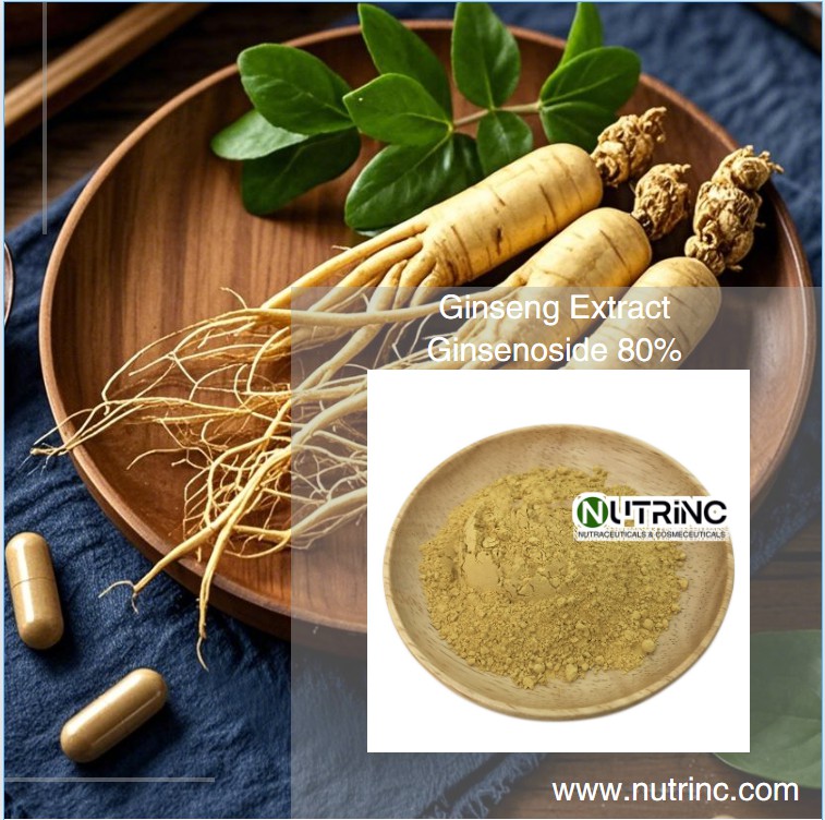 Ginseng Extract Ginsenoside 80%  