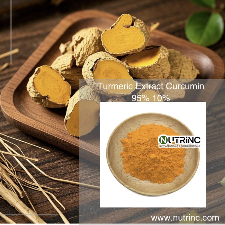 Turmeric Extract Curcumin 95% 10%