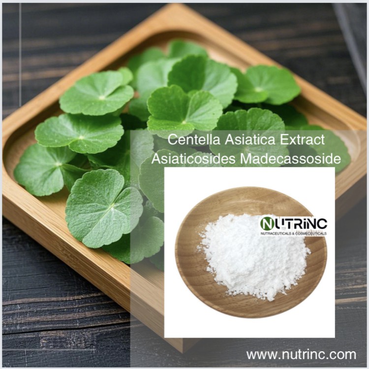 Centella Asiatica Extract Asiaticosides 10% 70%  Madecassoside 80% 90%