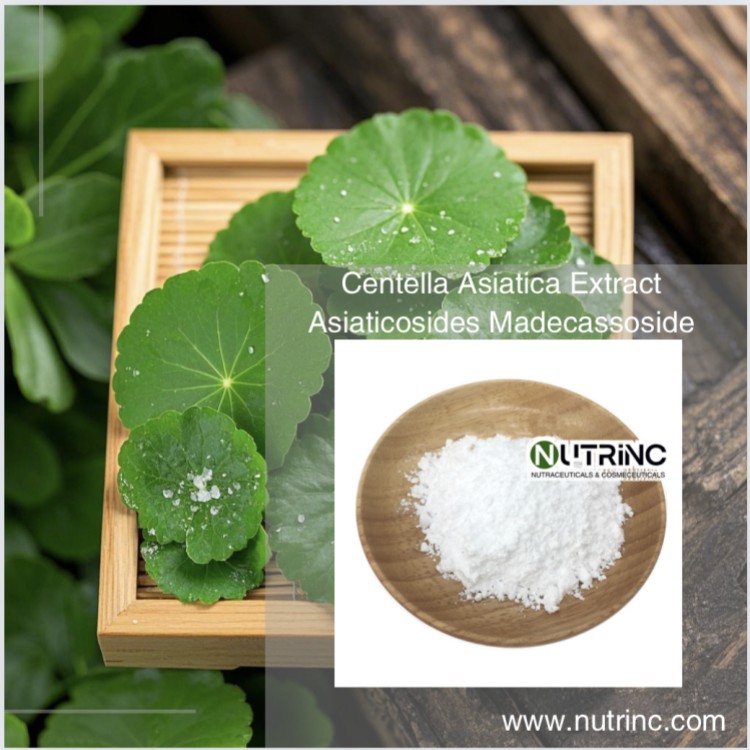Centella Asiatica Extract Asiaticosides 10% 70%  Madecassoside 80% 90%