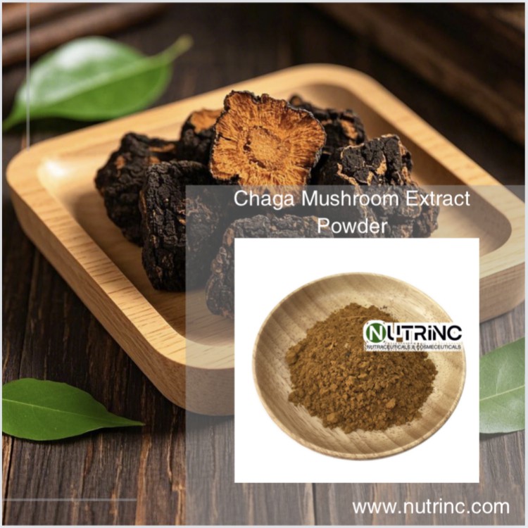 Chaga Mushroom Extract Powder