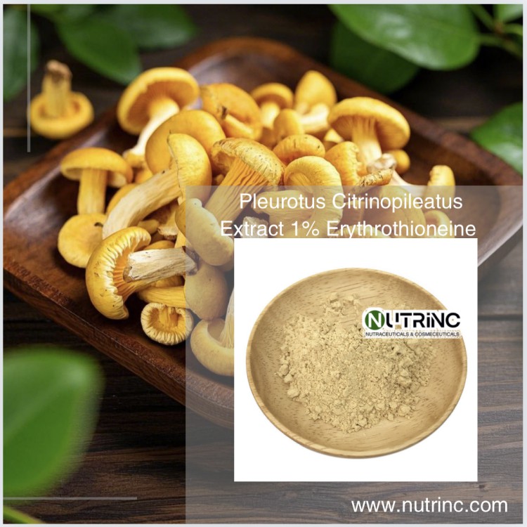 Pleurotus Citrinopileatus Extract 1% Erythrothioneine 