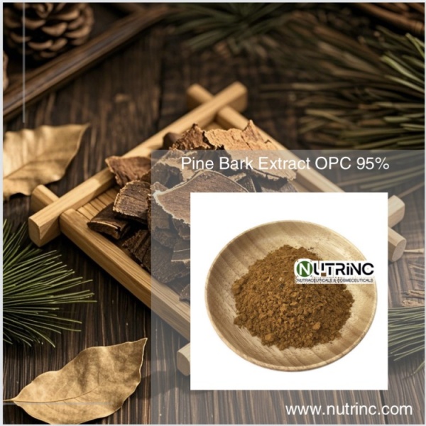 Pine Bark Extract OPC 95%