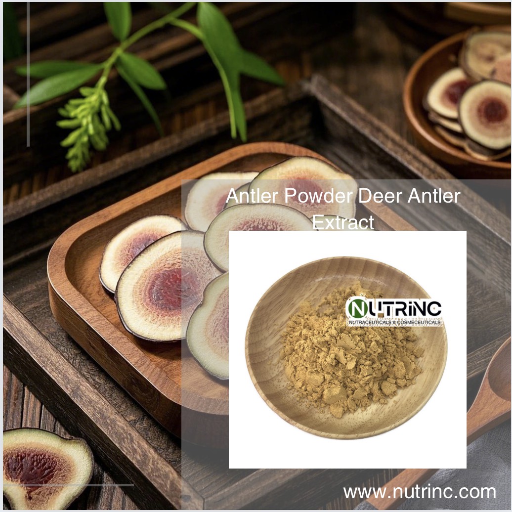 Antler Powder Deer Antler Extract