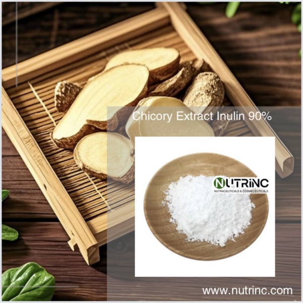 Chicory Extract Inulin 90%