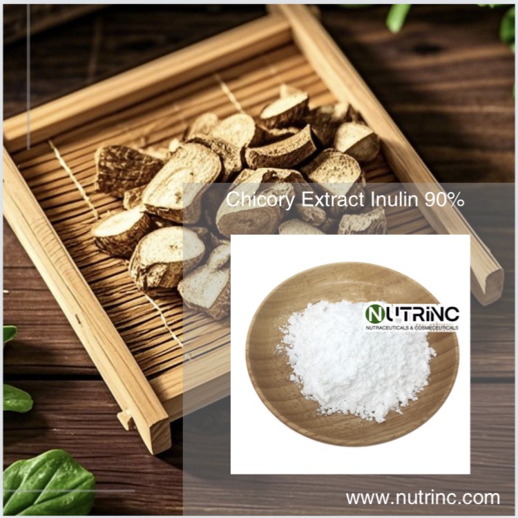 Chicory Extract Inulin 90%