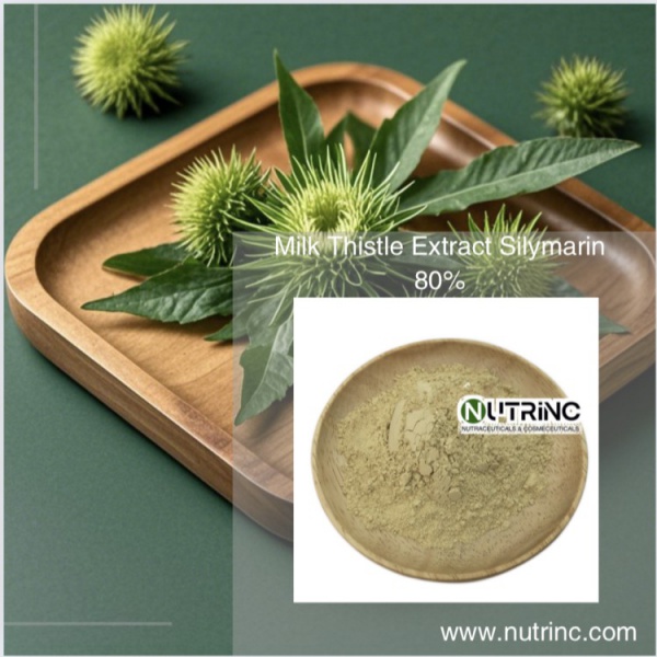 Milk Thistle Extract Silymarin 80%
