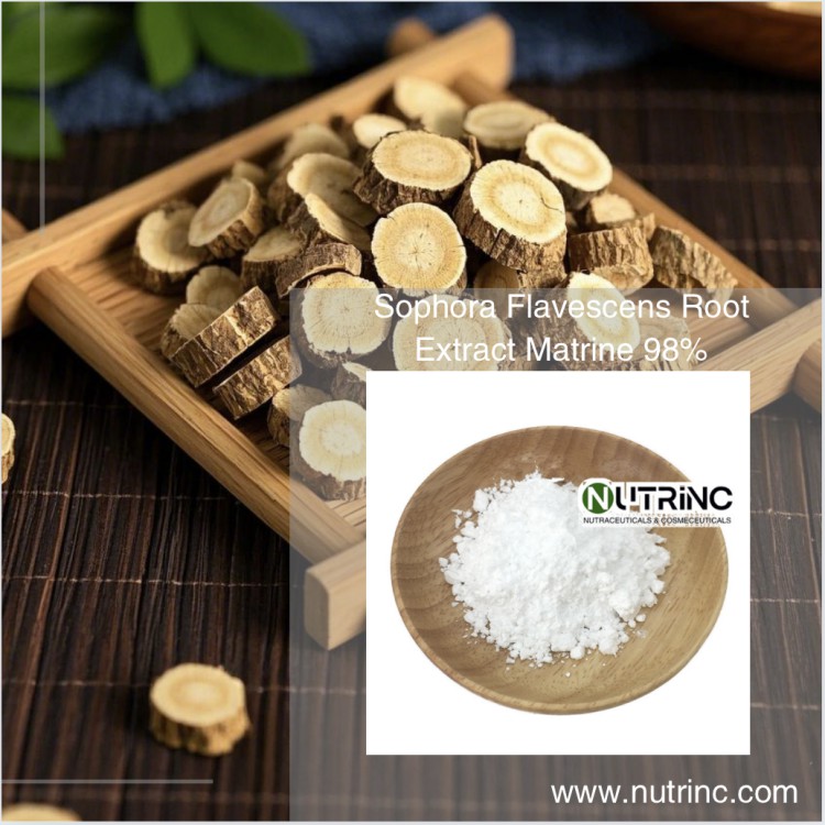 Sophora Flavescens Root Extract Matrine 98% Oxymatrine 98%