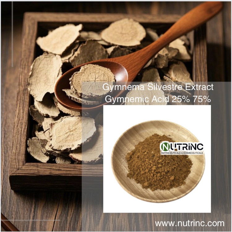 Gymnema Silvestre Extract Gymnemic Acid 25% 75%