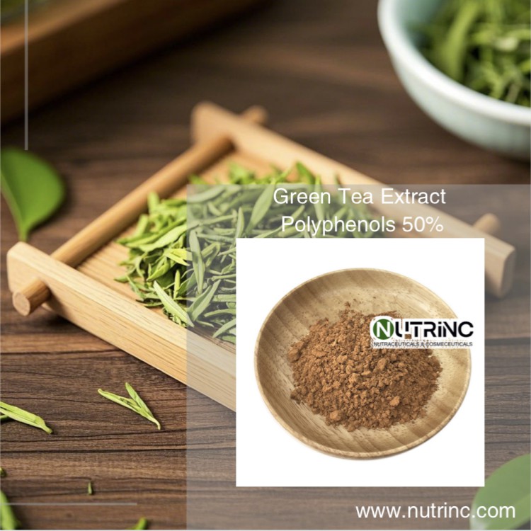 Green Tea Extract Polyphenols 50%