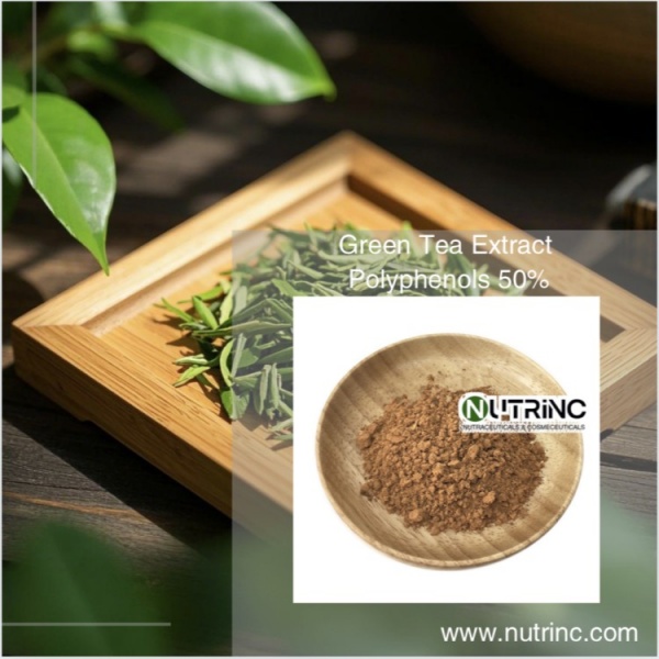 Green Tea Extract Polyphenols 50%