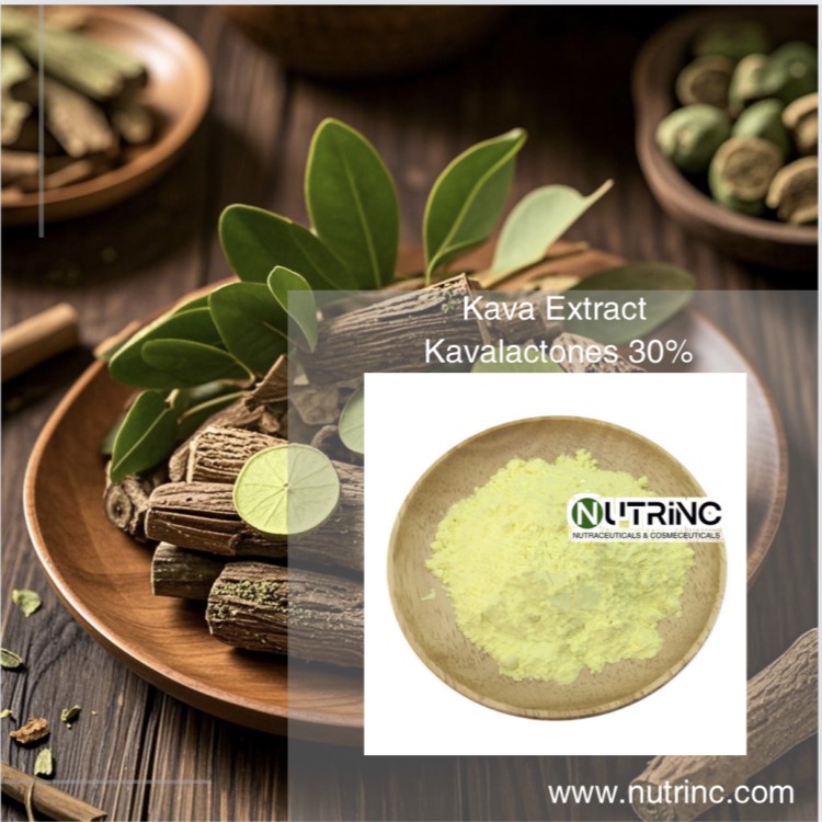 Kava Extract Kavalactones 30% 70% 10:1