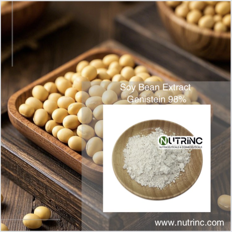 Soy Bean Extract Genistein 98%