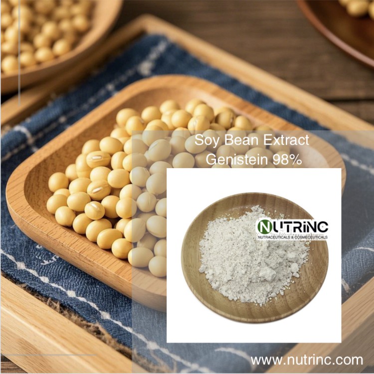 Soy Bean Extract Genistein 98%