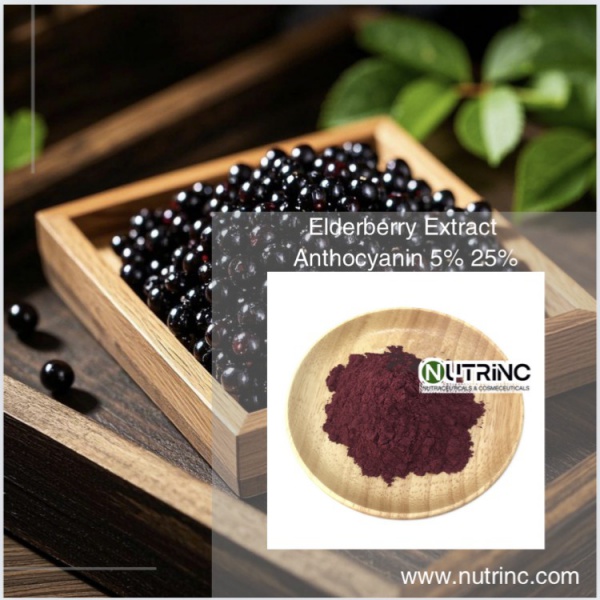 Elderberry Extract Anthocyanin 5% 25%