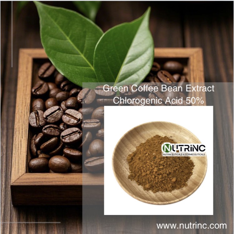 Green Coffee Bean Extract Chlorogenic Acid 50%