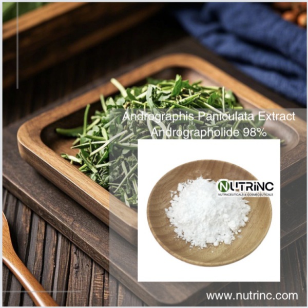 Andrographis Paniculata Extract Andrographolide 98%