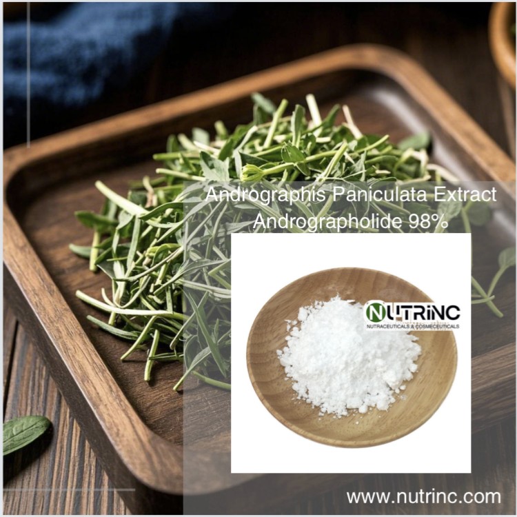 Andrographis Paniculata Extract Andrographolide 98%