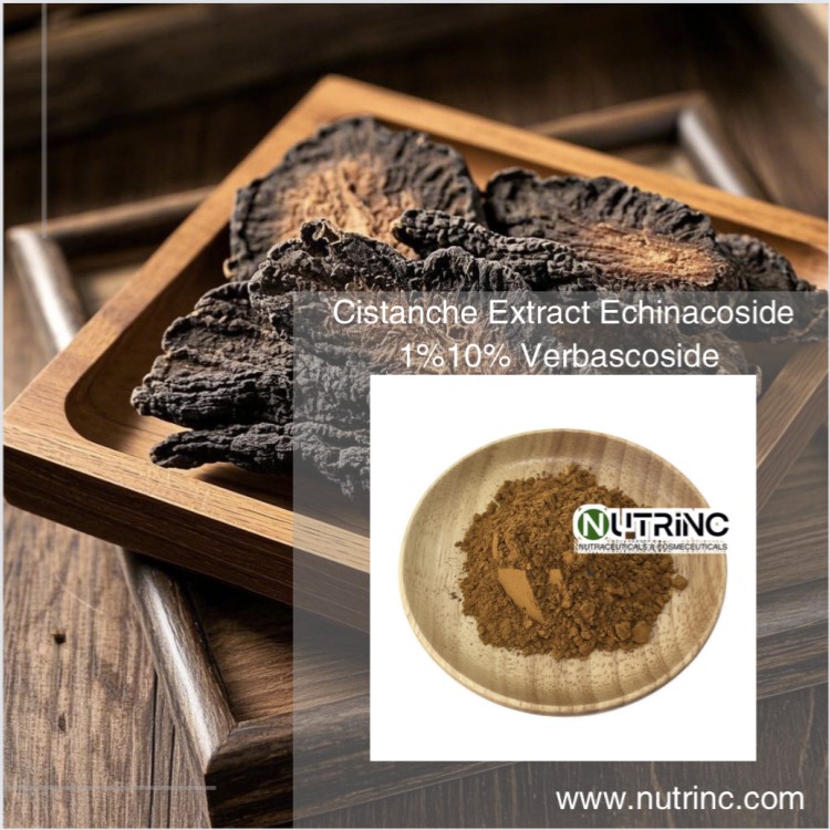 Cistanche Extract Echinacoside 1% 10% Verbascoside 1% 10%