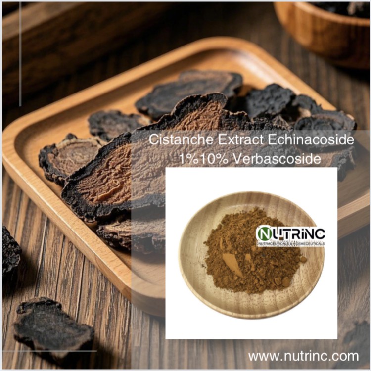 Cistanche Extract Echinacoside 1% 10% Verbascoside 1% 10%