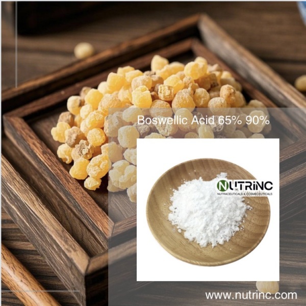 Boswellic Acid 65% 90% 