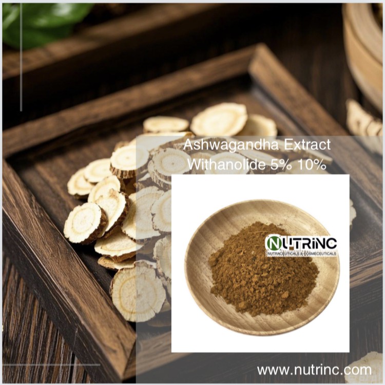 Ashwagandha Extract Withanolide 5% 10%