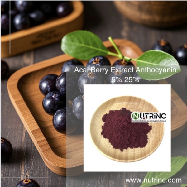 Acai Berry Extract Anthocyanin 5% 25%