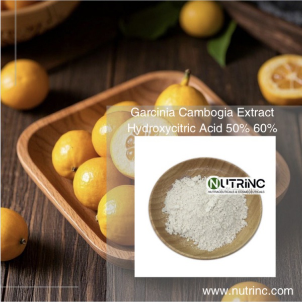 Garcinia Cambogia Extract Hydroxycitric Acid 50% 60%