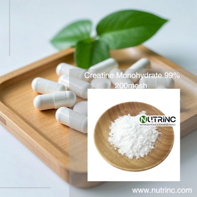Creatine Monohydrate 99%  200mesh 
