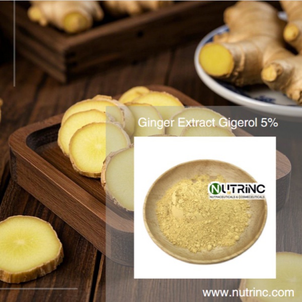 Ginger Extract Gigerol 5%