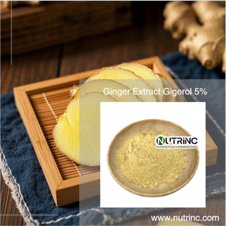 Ginger Extract Gigerol 5%