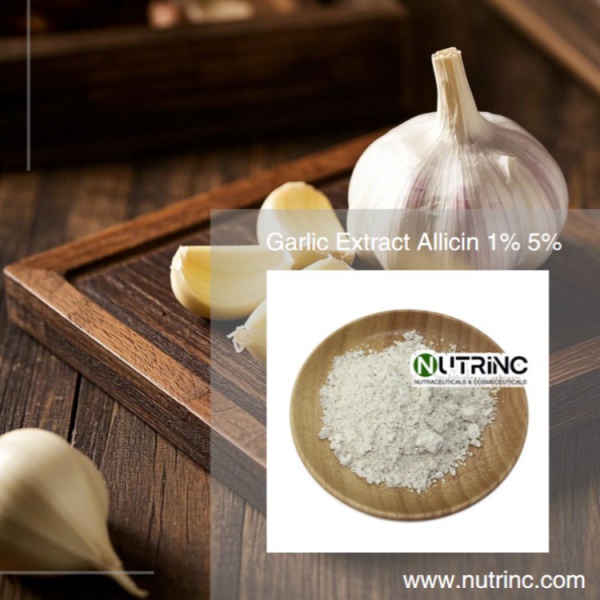 Garlic Extract Allicin 1% 5% 