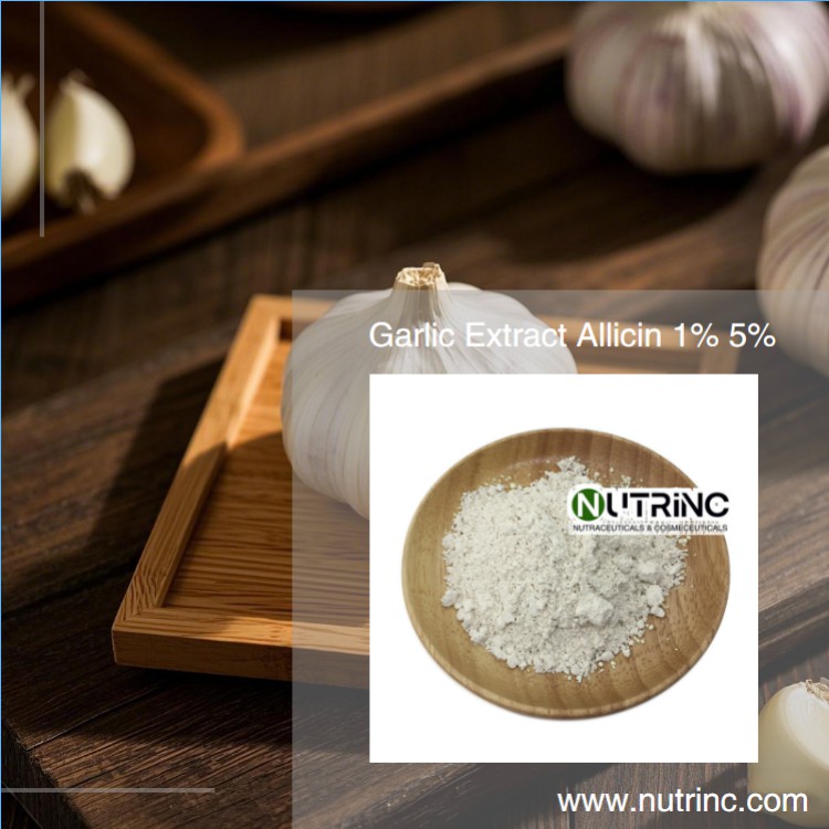 Garlic Extract Allicin 1% 5% 