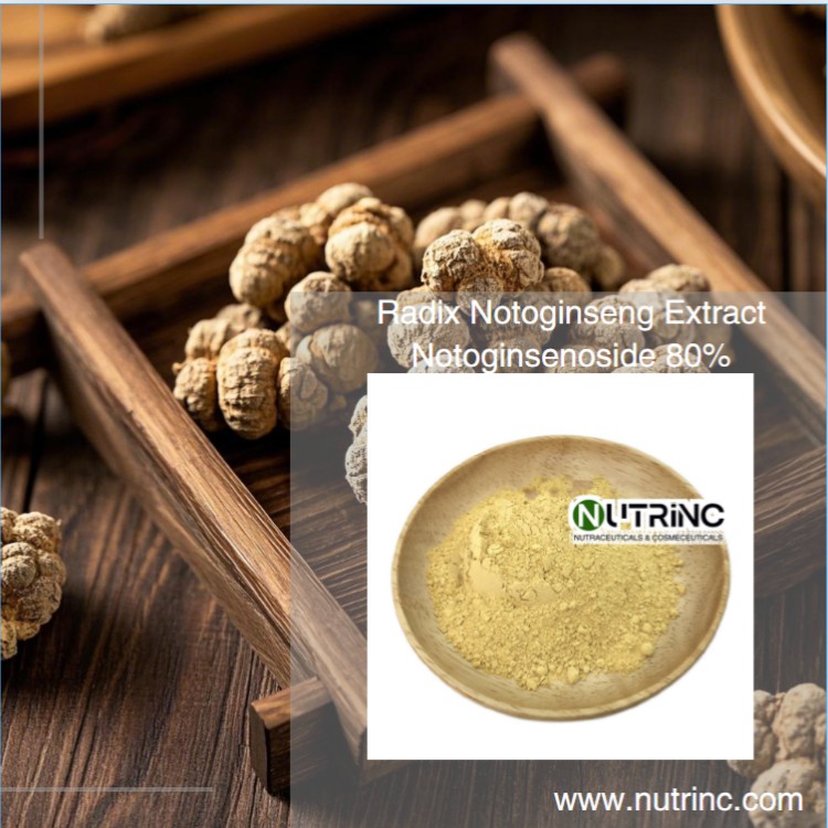 Radix Notoginseng Extract Notoginsenoside 80%