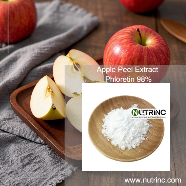 Apple Peel Extract Phloretin 98%