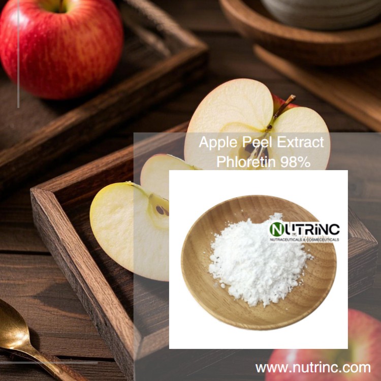 Apple Peel Extract Phloretin 98%