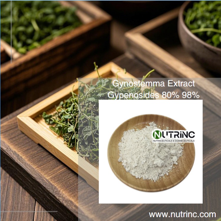 Gynostemma Extract Gypenosides 80% 98%