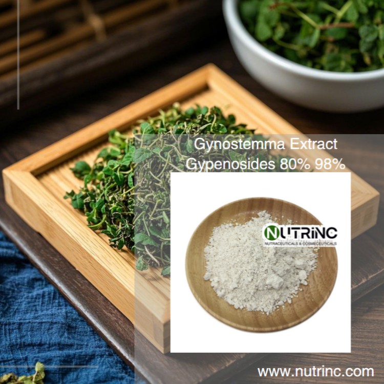 Gynostemma Extract Gypenosides 80% 98%