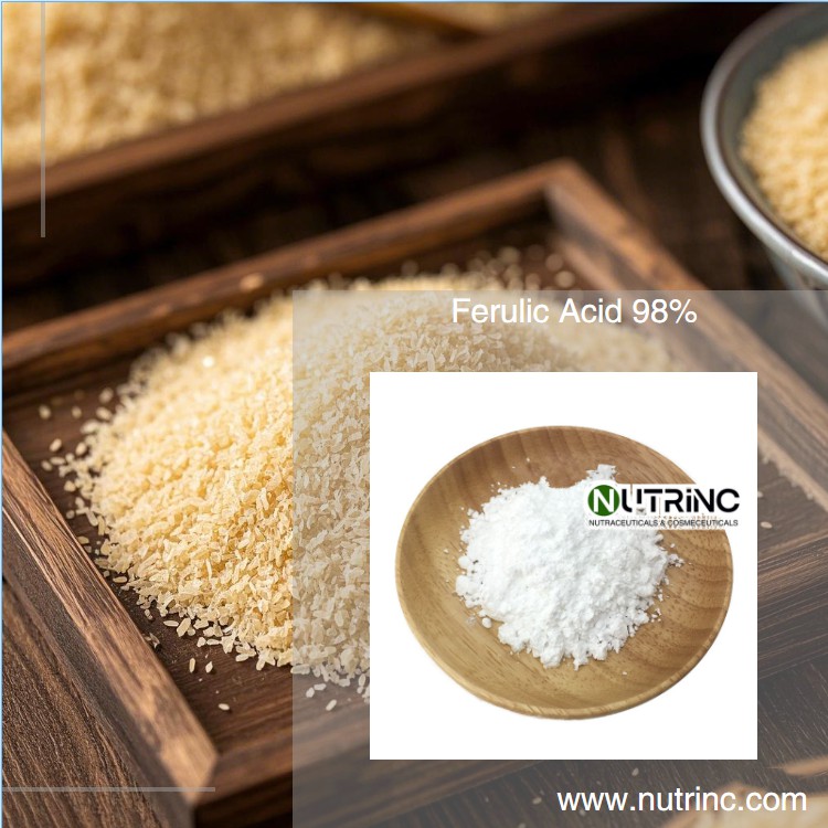 Ferulic Acid 98%