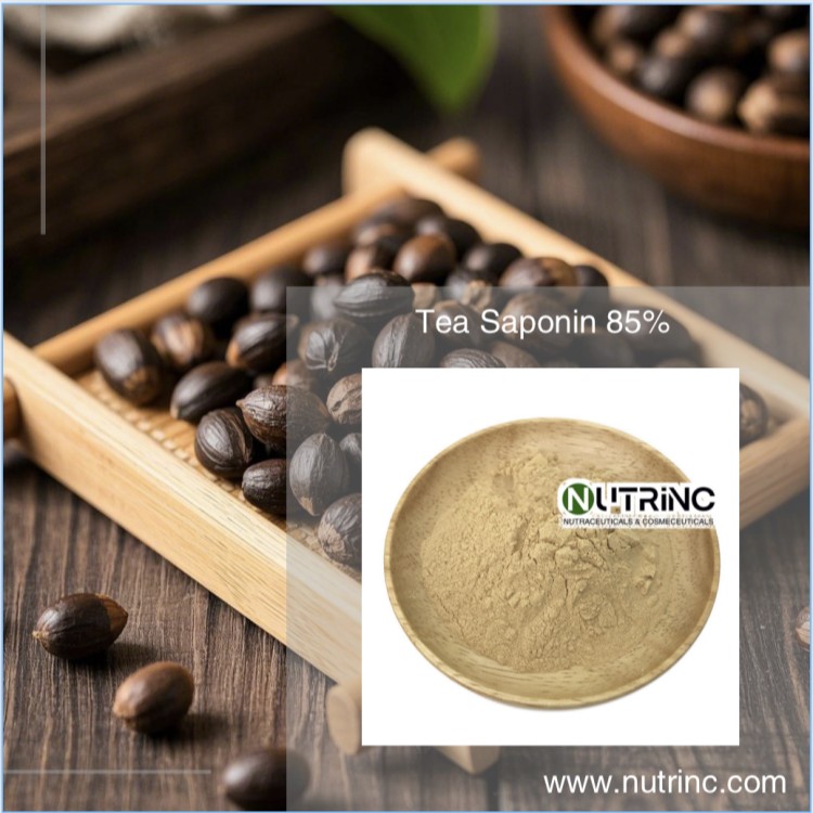 Tea Saponin 85%
