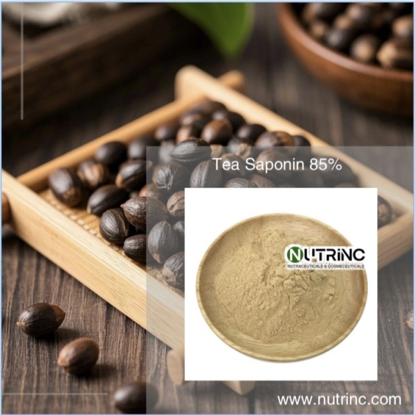 Tea Saponin 85%