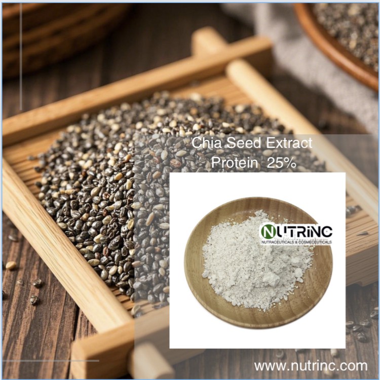 Chia Seed Extract Protein  25%
