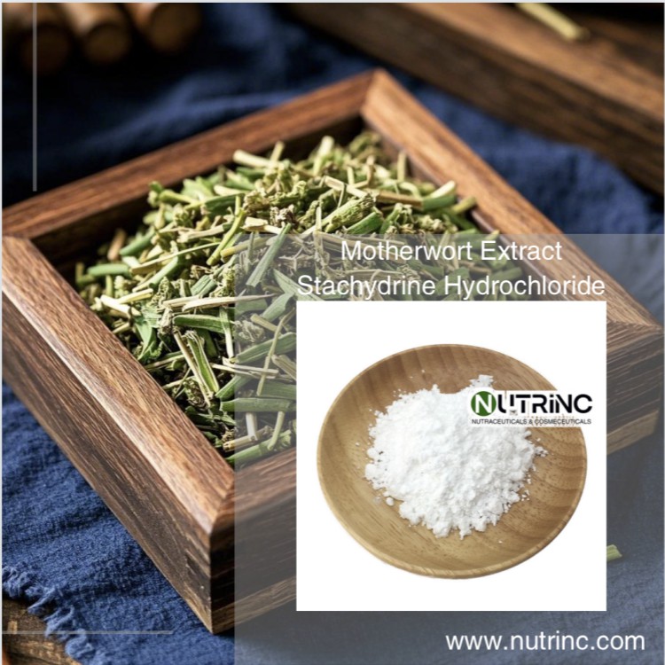 Motherwort Extract Stachydrine Hydrochloride 98%