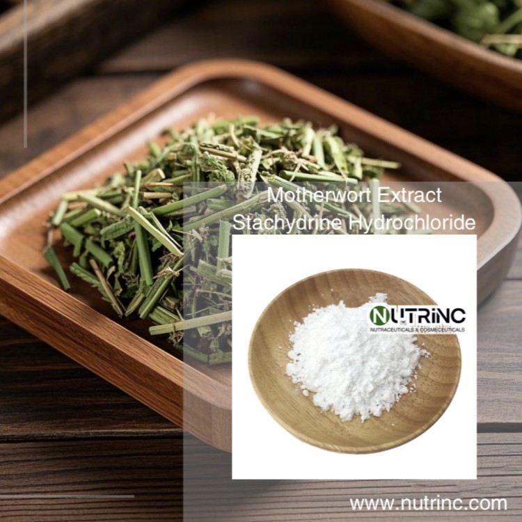 Motherwort Extract Stachydrine Hydrochloride 98%