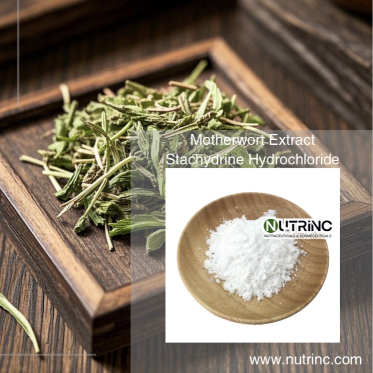 Motherwort Extract Stachydrine Hydrochloride 98%