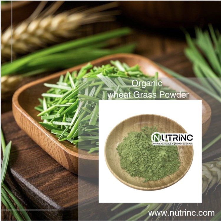 Organic Wheat Grass Powder